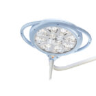 rimsa - lampada veterinaria - cavalier